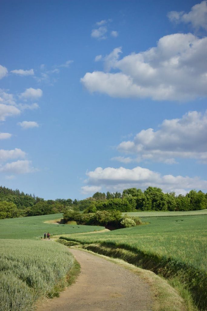 Tranquil countryside scene with a winding dirt path under a blue sky.